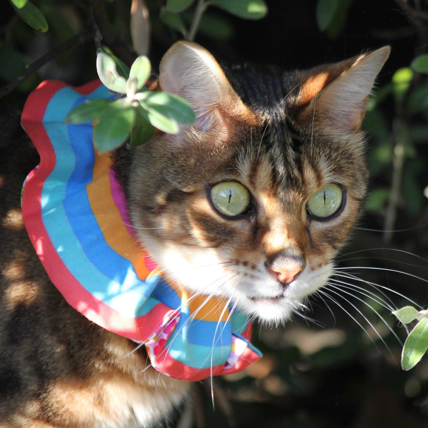 SECONDS-Cat Scrunchie with Reflective tape